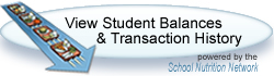 Global -> SNN-MP-Balanceoval.jpg