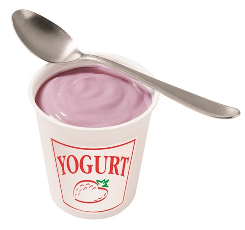 File Manager -> yogurtpic.jpg