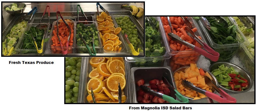 Texas_Farm_Fresh_Produce_Collage.jpg