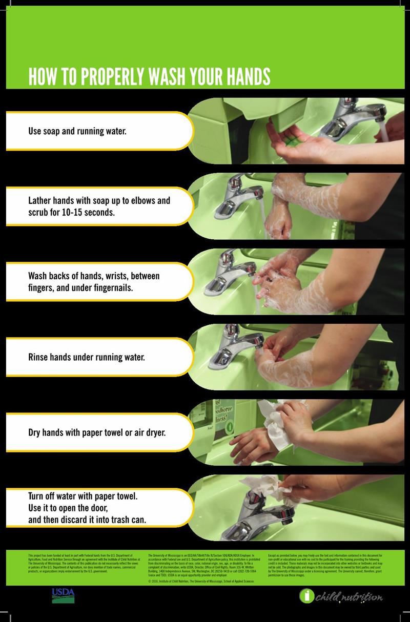 How to Properly Wash Your Hands image