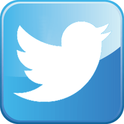 Twitter Bird image - Widefield School District 3